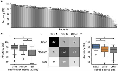 How to learn with intentional mistakes: NoisyEnsembles to overcome poor tissue quality for deep learning in computational pathology
